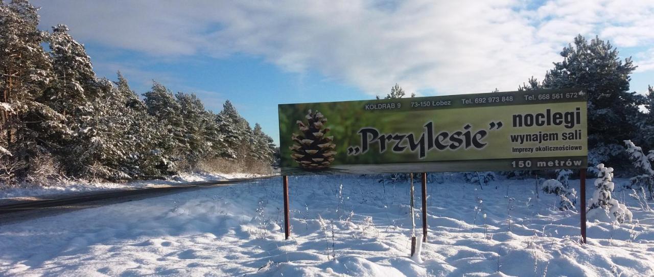 Pokoje Goscinne Przylesie Łobez Kültér fotó